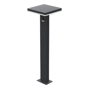LED Zunanja svetilka s senzorjem BARI LED/10W/230V 4000K 60 cm IP54 antracit