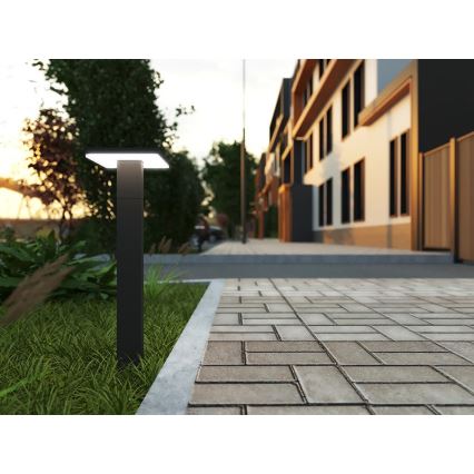 LED Zunanja svetilka s senzorjem BARI LED/10W/230V 4000K 60 cm IP54 antracit
