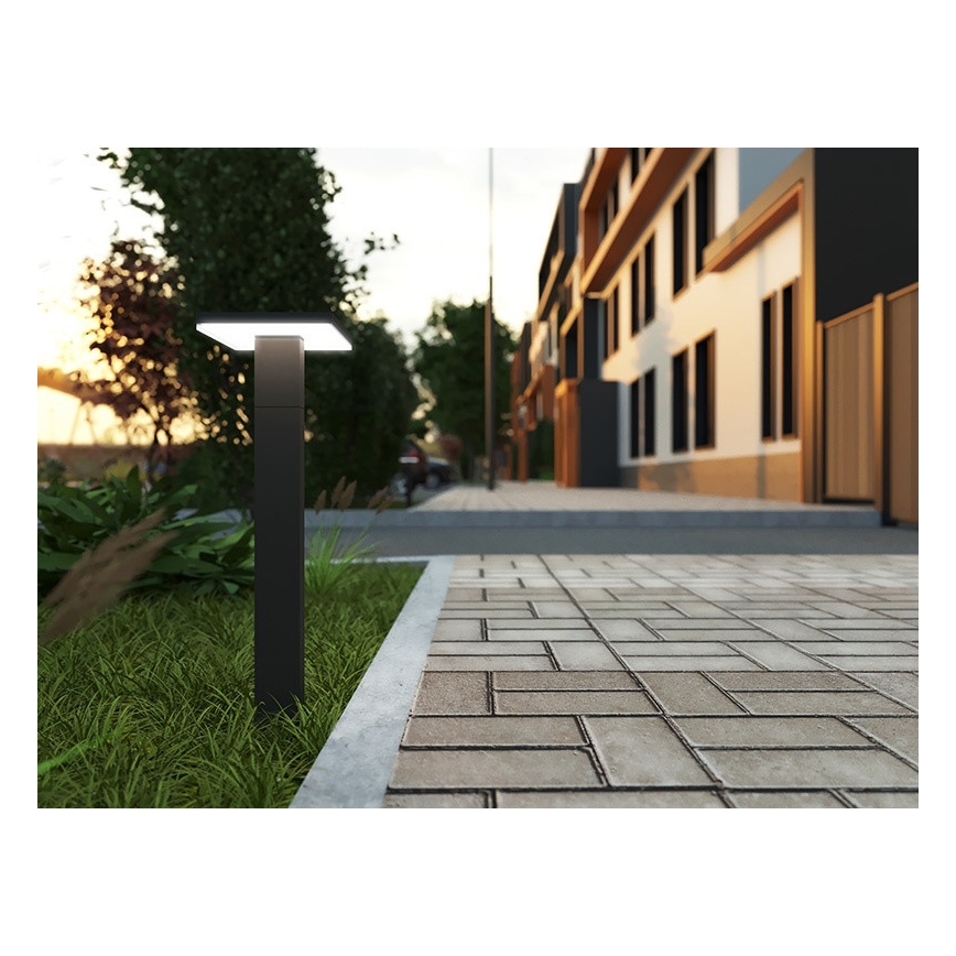 LED Zunanja svetilka s senzorjem BARI LED/10W/230V 4000K 60 cm IP54 antracit