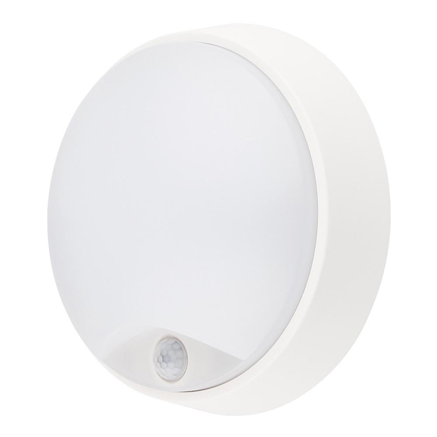 LED zunanja svetilka s senzorjem LED/14W/230V IP54