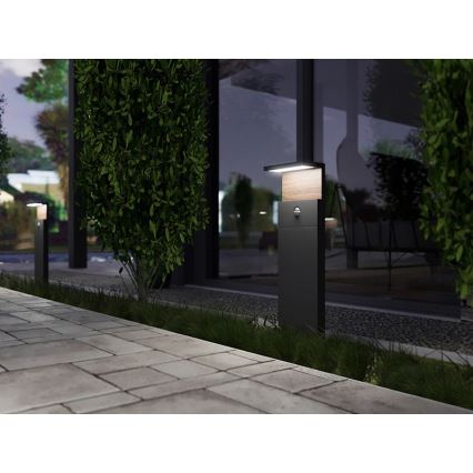 LED Zunanja svetilka s senzorjem NATURA LED/12W/230V 4000K IP54 rjava/antracit