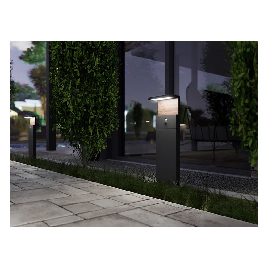 LED Zunanja svetilka s senzorjem NATURA LED/12W/230V 4000K IP54 rjava/antracit