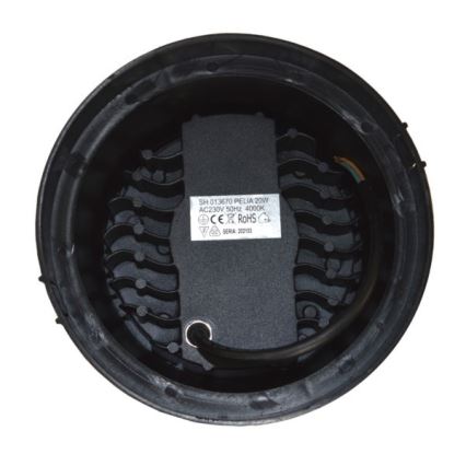 LED Zunanja svetilka za dovozno pot PELIA LED/20W/230V IP67 4000K