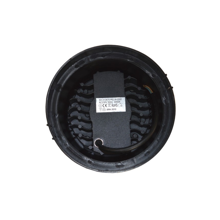 LED Zunanja svetilka za dovozno pot PELIA LED/20W/230V IP67 4000K