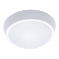 LED zunanje stropno svetilo LED/18W/230V  IP65