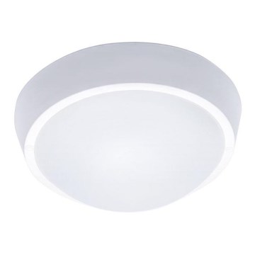 LED zunanje stropno svetilo LED/18W/230V  IP65