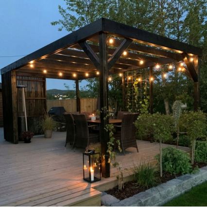 LED zunanji dekorativni niz 20xE27/1W/230V 11,44 m IP44 črna