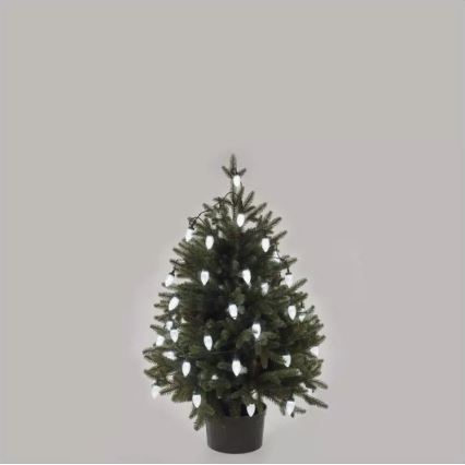 LED zunanji niz 50xLED/8 funkcij 14,8 m IP44 hladna bela