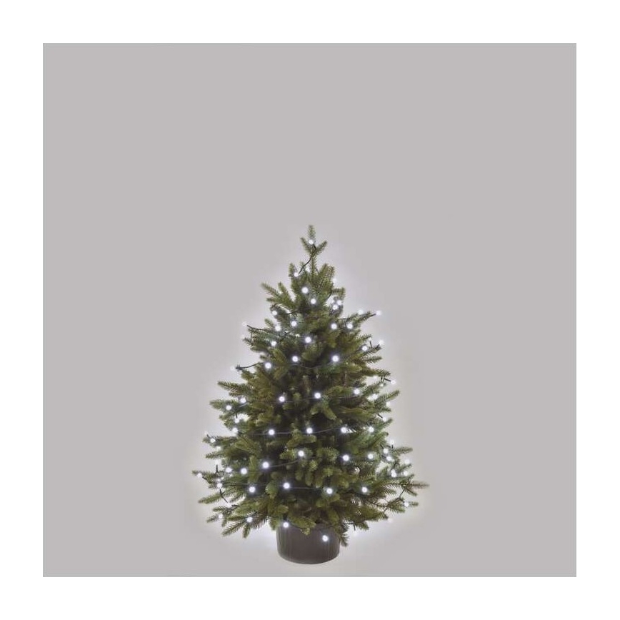 LED  zunanji niz 80xLED/13m IP44 hladna bela