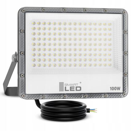LED zunanji reflektor 100 W, 230 V, 4500 K, IP65, siva