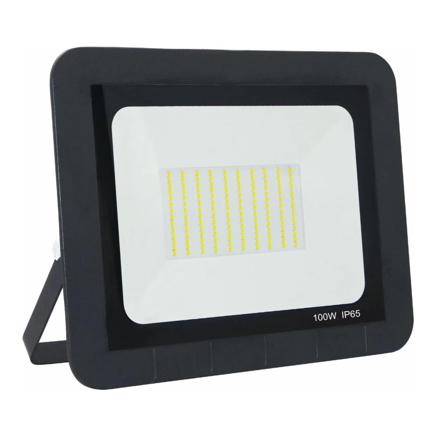 LED Zunanji reflektor LED/100W/230V IP65