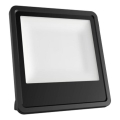 LED Zunanji reflektor LED/30W/230V 4000K IP65 črna