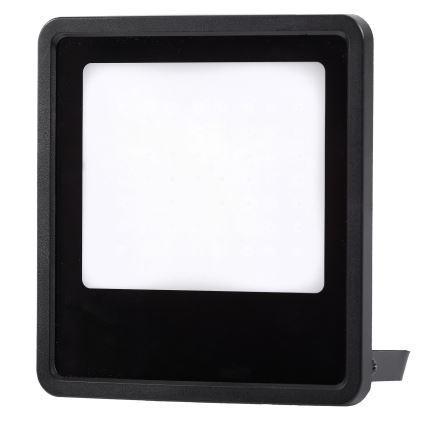 LED Zunanji reflektor LED/30W/230V 4000K IP65 črna