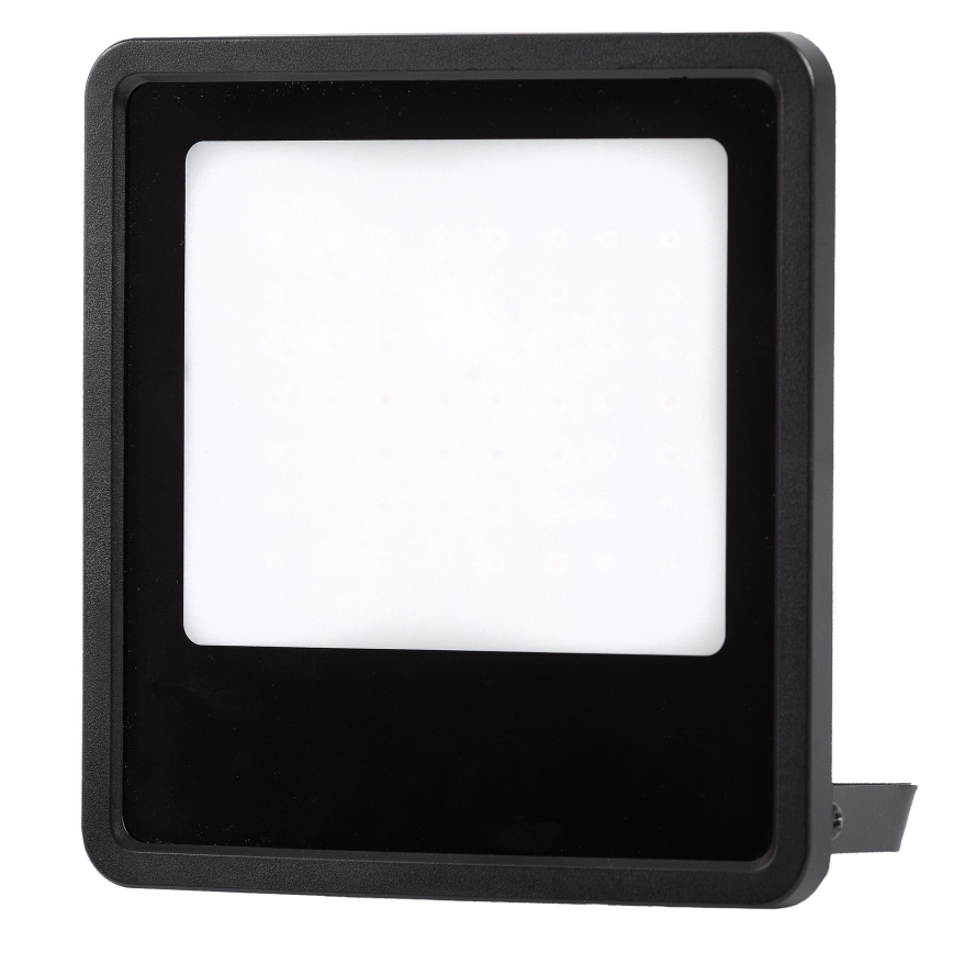 LED Zunanji reflektor LED/30W/230V 4000K IP65 črna