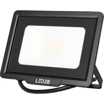 LED Zunanji reflektor LED/30W/230V 6500K IP65