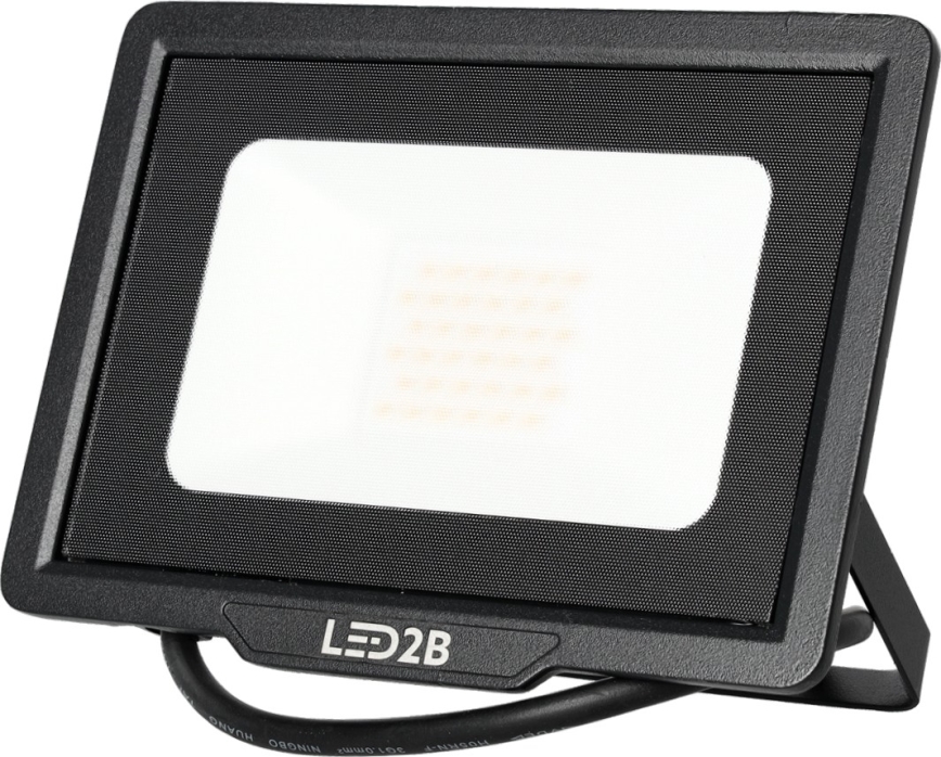 LED Zunanji reflektor LED/30W/230V 6500K IP65