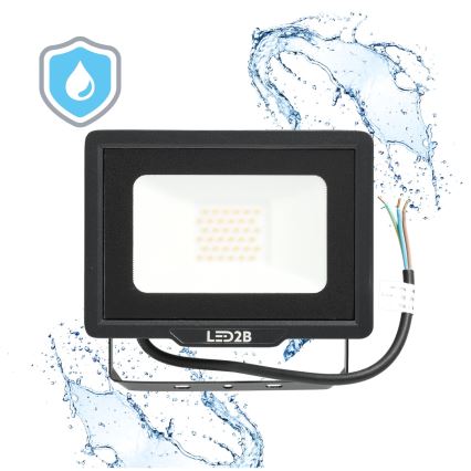 LED Zunanji reflektor LED/30W/230V 6500K IP65