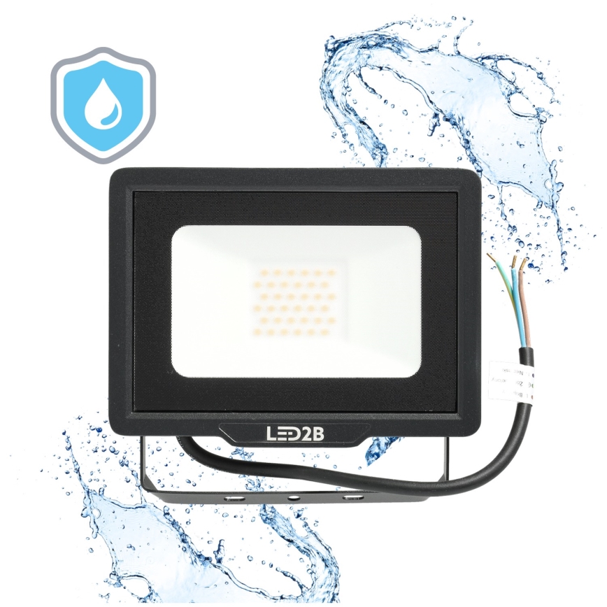 LED Zunanji reflektor LED/30W/230V 6500K IP65