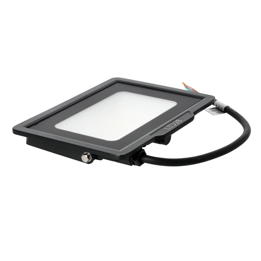 LED Zunanji reflektor LED/30W/230V 6500K IP65