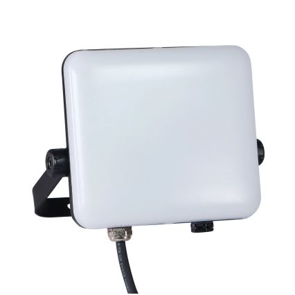 LED Zunanji reflektor MILKY LED/30W/230V 4000K IP65 črna