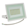 LED Zunanji reflektor NOCTIS LUX 3 LED/30W/230V 4000K IP65 bela