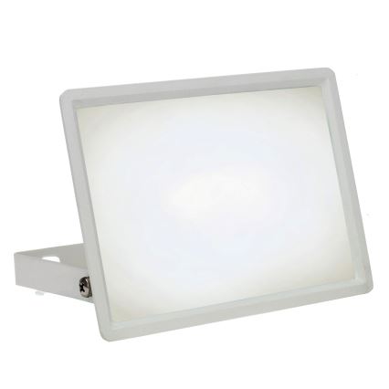 LED Zunanji reflektor NOCTIS LUX 3 LED/30W/230V 4000K IP65 bela