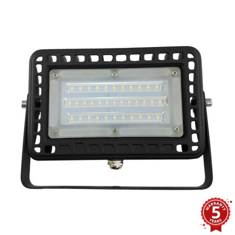 LED Zunanji reflektor PROFI LED/30W/180-305V IP65