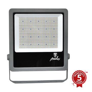LED Zunanji reflektor PROFI PLUS LED/300W/230V 5000K IP66