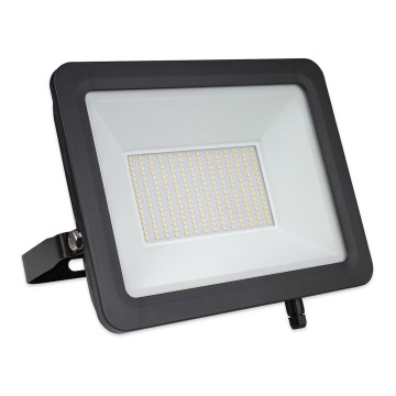 LED Zunanji reflektor STAR LED/150W/230V IP65 5000K