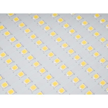 LED Zunanji reflektor STAR LED/150W/230V IP65 5000K