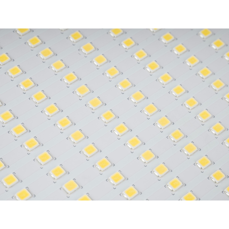 LED Zunanji reflektor STAR LED/150W/230V IP65 5000K