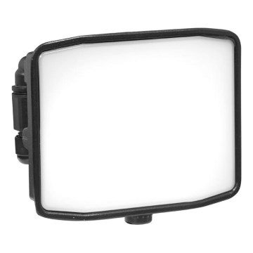 LED Zunanji reflektor ZIPO LED/30W/230V 5000K IP65 črna