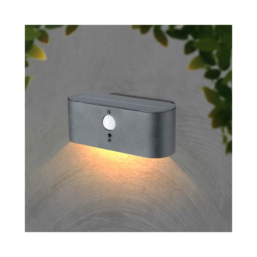 LED Zunanji solarni stenska svetilka s senzorjem LED/2,5W/3,7V 3000K IP54