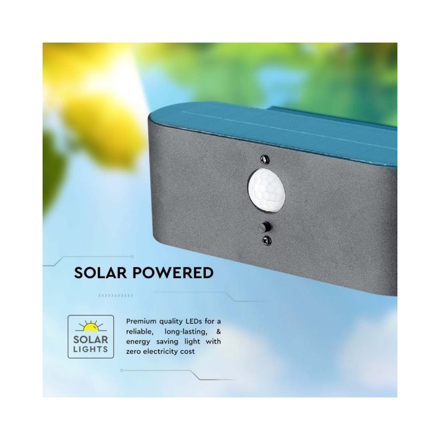 LED Zunanji solarni stenska svetilka s senzorjem LED/2,5W/3,7V 3000K IP54