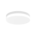LED2 - LED kopalniška stropna svetilka YPSO LED/22W/230V 3000/4000K IP54 premer 29 cm bela