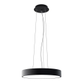 LED2 - LED lestenec na kablu MONO SLIM LED/30W/230V 2700/3000K/4000K premer 40 cm črna