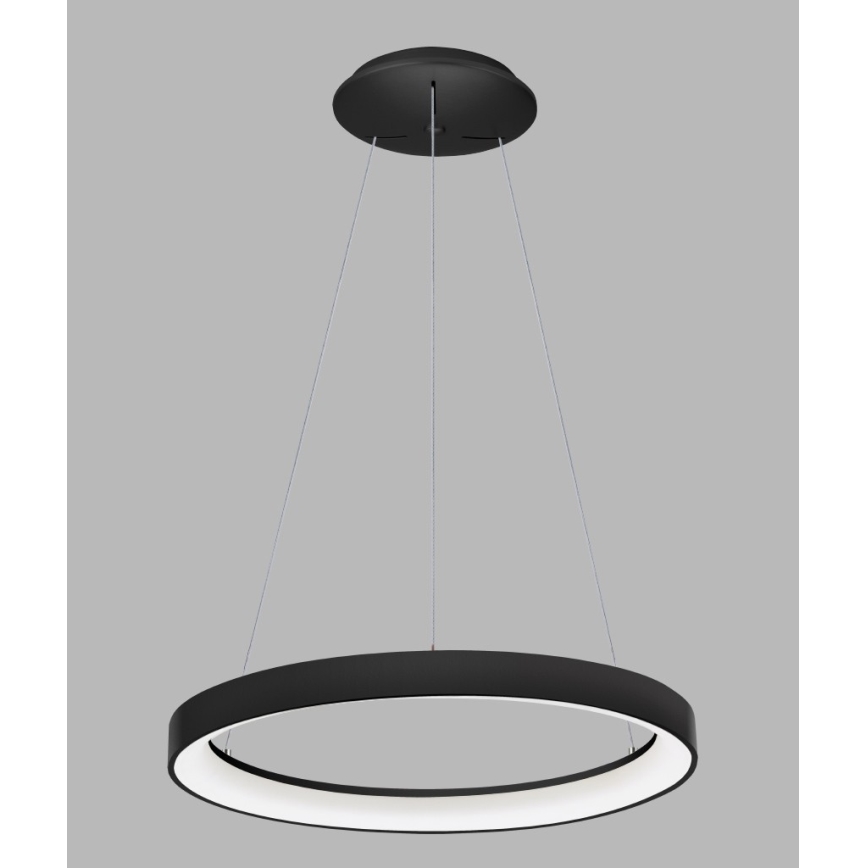 LED2 - LED Lestenec na vrvici BELLA LED/48W/230V 3000K/4000K črn