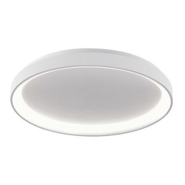 LED2 - LED Stropna svetilka BELLA LED/48W/230V 3000K/4000K bela