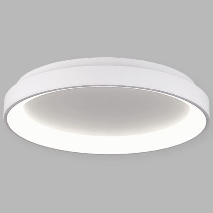 LED2 - LED Stropna svetilka BELLA LED/48W/230V 3000K/4000K bela