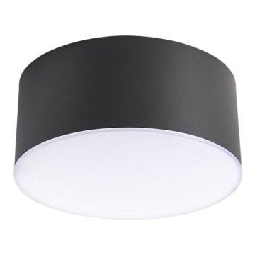 LED2 - LED Stropna svetilka BUTTON LED/17W/230V antracit