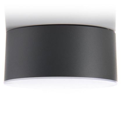 LED2 - LED Stropna svetilka BUTTON LED/17W/230V antracit