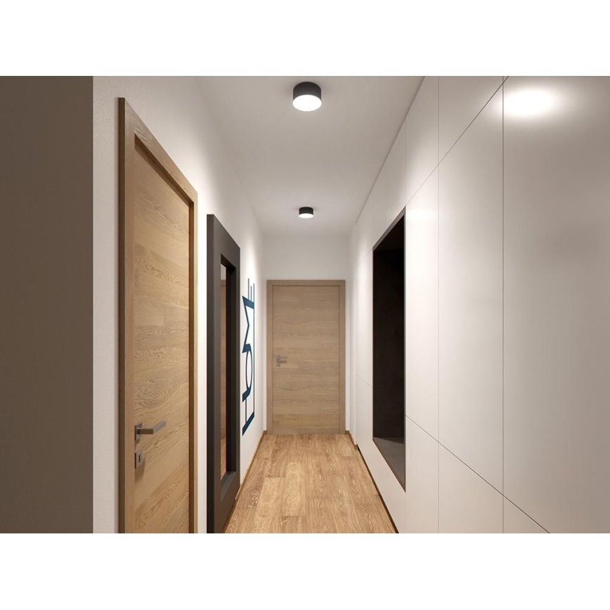 LED2 - LED Stropna svetilka BUTTON LED/17W/230V antracit