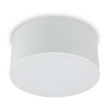LED2 - LED Stropna svetilka BUTTON LED/17W/230V bela