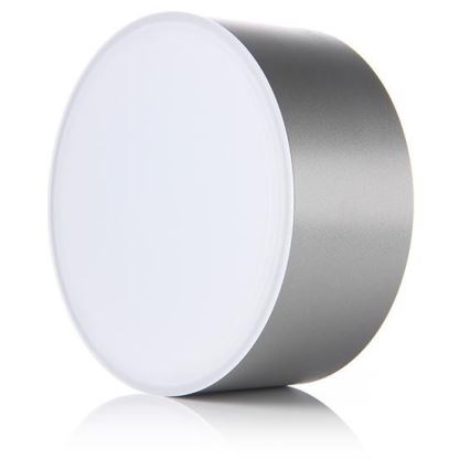 LED2 - LED Stropna svetilka BUTTON LED/17W/230V srebrna