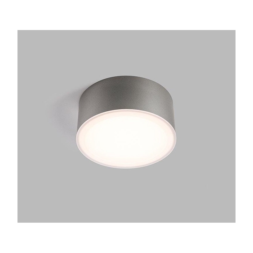 LED2 - LED Stropna svetilka BUTTON LED/17W/230V srebrna