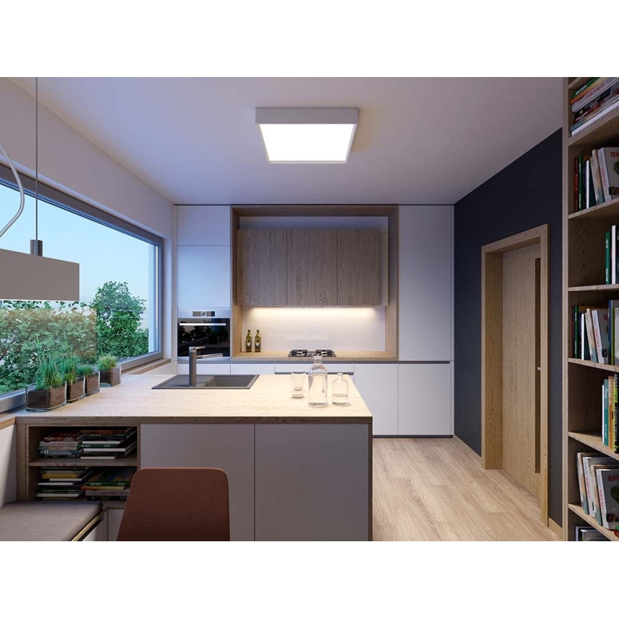 LED2 - LED Stropna svetilka MILO LED/30W/230V bela 3000/4000K