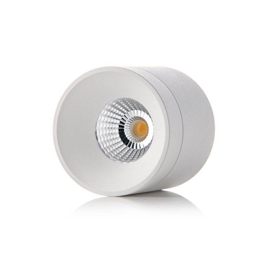 LED2 - LED Stropna svetilka TINY LED/8W/230V bela