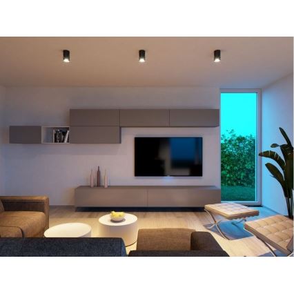 LED2 - LED Stropna svetilka TUBUS LED/9W/230V črna