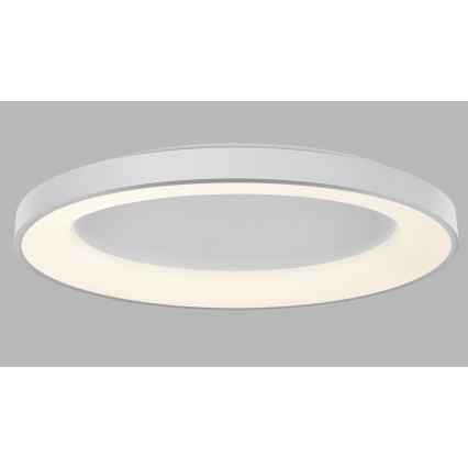 LED2 - LED Zatemnitvena stropna svetilka BELLA LED/80W/230V 3000K/4000K bela