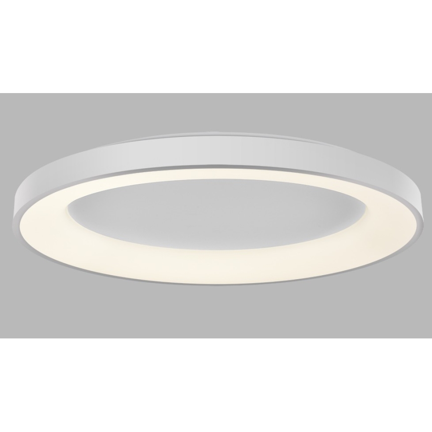 LED2 - LED Zatemnitvena stropna svetilka BELLA LED/80W/230V 3000K/4000K bela